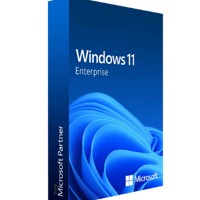  Windows 11 Enterprise CD Key 1 Years